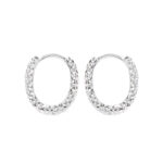 Elegant Ear Jewelry hoop earring (3) Elegant Ear Jewelry Zircon Hoop Earrings Charm Wedding Accessories 925 Silver Jewelry